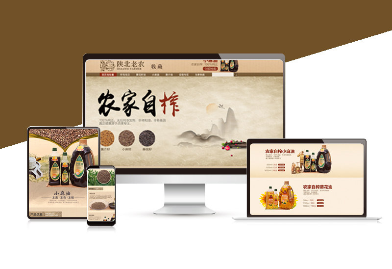 陜北老農(nóng)小麻油 整店裝修設(shè)計(jì)