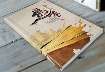 云南工藝美術(shù)學(xué)?！短依顫M天下》書籍封面設(shè)計