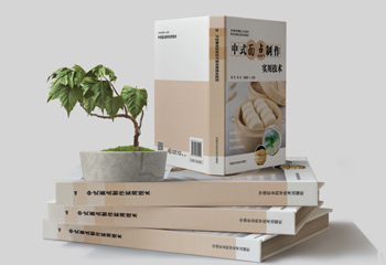 技術(shù)類實用書籍封面設(shè)計